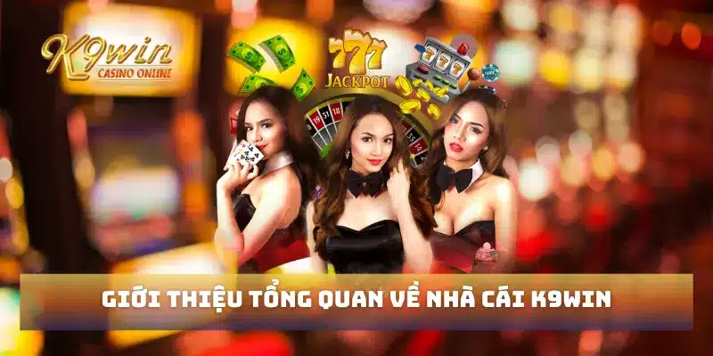 Trang chủ 98 Giới thiệu tổng quan về nhà cái K9win