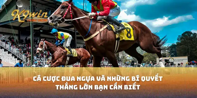 Cá cược đua ngựa và những bí quyết thắng lớn bạn cần biết
