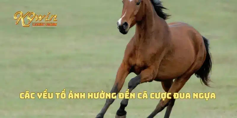Cá cược đua ngựa và những bí quyết thắng lớn bạn cần biết 3 Các yếu tố ảnh hưởng đến cá cược đua ngựa