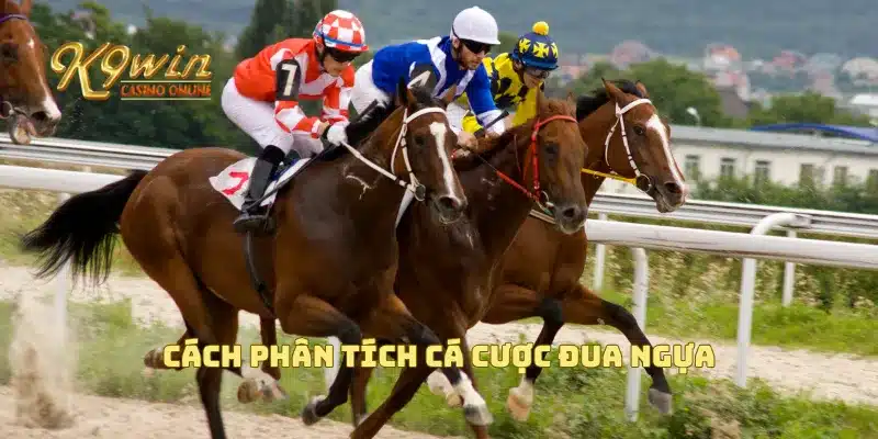 Cá cược đua ngựa và những bí quyết thắng lớn bạn cần biết 4 Cách phân tích cá cược đua ngựa