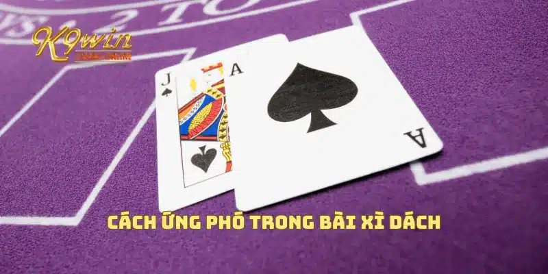 Bài Xì Dách Cách Chơi Và Những Chiến Lược Giúp Bạn Chiến Thắng 3 Cách ứng phó trong bài xì dách