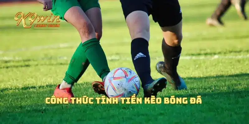 Tính Tiền Kèo Bóng Đá Chính Xác Cho Người Mới Chơi Hiệu Quả 3 Công thức tính tiền kèo bóng đá