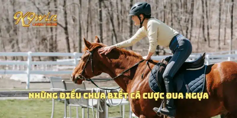 Cá cược đua ngựa và những bí quyết thắng lớn bạn cần biết 2 Những điều chưa biết cá cược đua ngựa