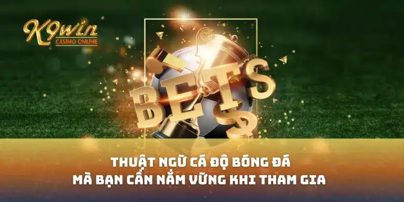 Thuật ngữ cá độ bóng đá mà bạn cần nắm vững khi tham gia